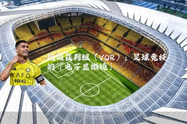 视频裁判组（VOR）：足球竞技的「电子显微镜」